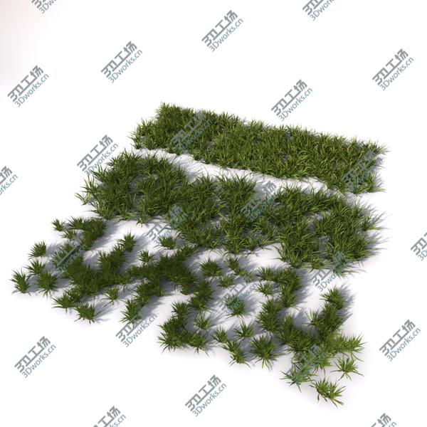 images/goods_img/20210312/Grass vol2/2.jpg